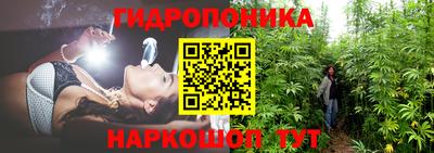 spice Бузулук