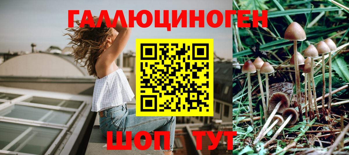 Галлюциногенные грибы Magic Shrooms Фрязино